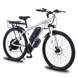 29 Inch 48V 1000W Adult Electric Bicycle Mountain Electric Bike
